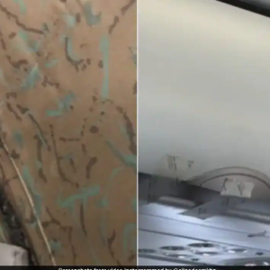 Dusty Chairs and Broken Handles: Pak Man’s Eye-Opening PIA Flight Experience.